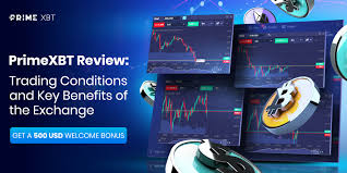 A Comprehensive Review of the PrimeXBT Website