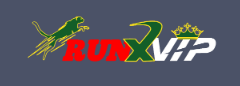Discover the Excitement of Runx Bet Discover the Excitement of Runx Bet