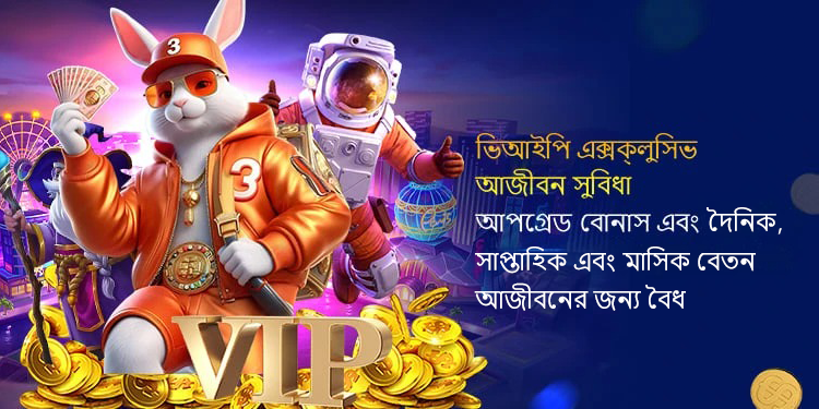 The Fascinating World of 66zz A Deep Dive