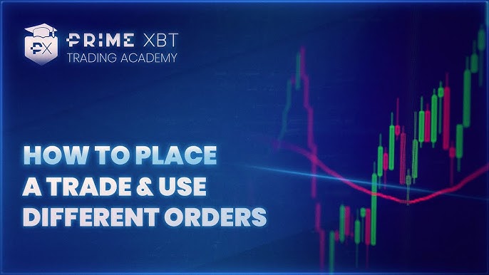 Comprehensive Guide to PrimeXBT Crypto Broker 15