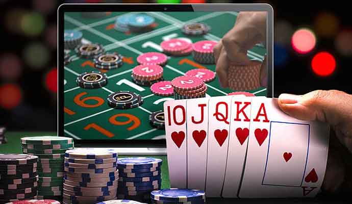 Explore the Excitement of ck444 Your Ultimate Guide