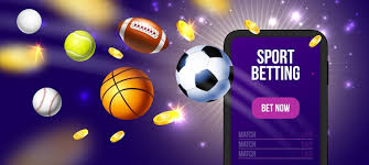Discover the Best of Online Shopping at vivi-br.com