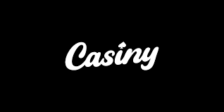 Exploring the Benefits and Features of Casiny VIP Program