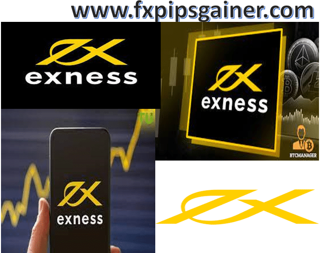Understanding Exness Accounts A Comprehensive Guide to Trading Understanding Exness Accounts A Comprehensive Guide to Trading